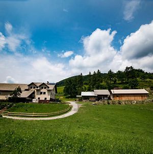 Krvavec Ski Resort